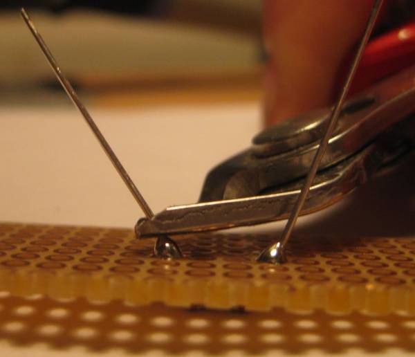 Beinchen abschneiden Beinchen abschneiden